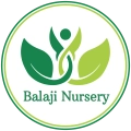 Balaji Nursery