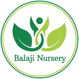 Balaji Nursery