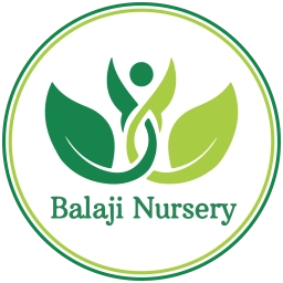 Logo of Balaji Nursery
