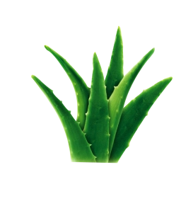 Logo van 4everdiscount.nl