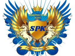 Logo of Semipreciousking