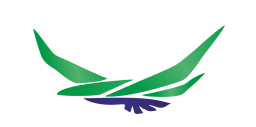 Logo of Softication