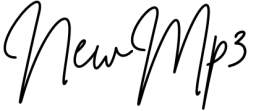 Logo of NewMp3 Media