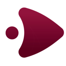 Logo van IPTV zenders