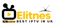 Elitnes