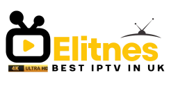 Logo of Elitnes