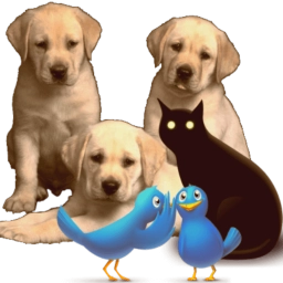 Logo of PetzLover
