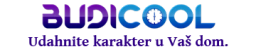 Logotip Budicool
