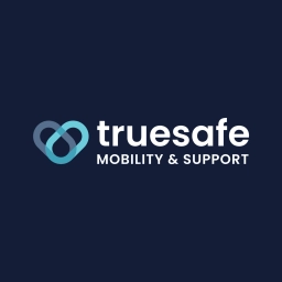 Logo van Tue-safe.nl