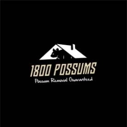 Logo of 1800Possums