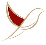 Logo van thedutchnest.com