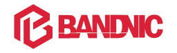 Logo of Bandnic