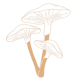 Logo of Psychedelic Dispensary Online