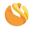 Logo of Synclovis Systems