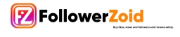 Logo of followerzoid