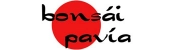 Logo of BONSAI PAVIA, S.L.