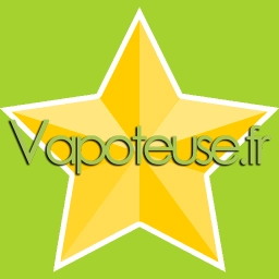 Logo de Vapoteuse.fr