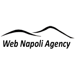 Logo di Web Napoli Agency di Alessandro Di Somma