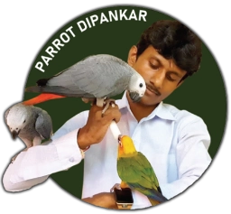 Logo of Parrot Dipankar Store