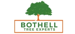 Logo of Bothell Tree Experts