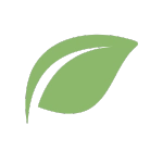 Logo van Ten Hove Haagplanten