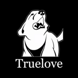 Logo de Truelove-store