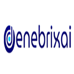 https://denebrixai.com