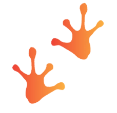 Logo of Leapd