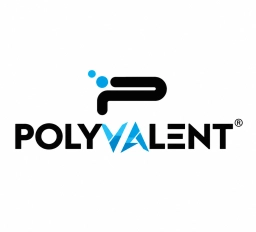 Logo of Polyvalent Digital Services Pvt. Ltd.